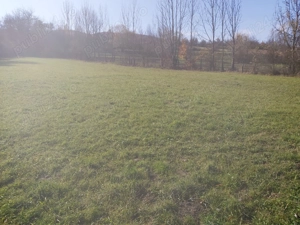 Vând teren intravilan și extravilan