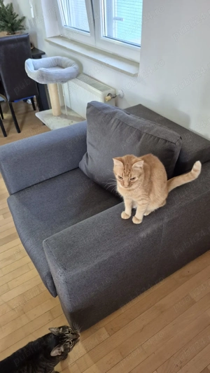 Vand Fotolii - Conditie 9.5 10