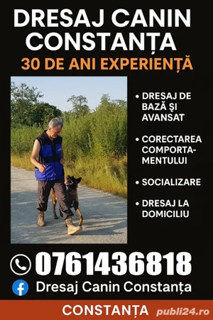 Dresaj canin Constanța-30 da ani experienta