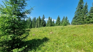 Teren intravilan de vanzare Vatra Dornei, Dorna Arini - imagine 3