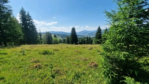 Teren intravilan de vanzare Vatra Dornei, Dorna Arini - imagine 2