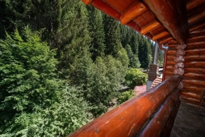 Pensiune de excepție de vânzare – Moeciu de Sus, Brașov - imagine 3