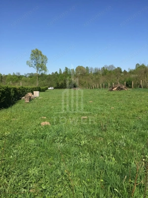 Teren de vanzare în reprezentare exclusivă, situat pe Valea Avrigului! - imagine 7