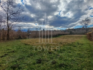 Teren de vanzare în reprezentare exclusivă, situat pe Valea Avrigului! - imagine 4