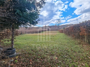 Teren de vanzare în reprezentare exclusivă, situat pe Valea Avrigului! - imagine 6