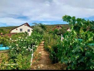 Casă de vânzare Miniş - imagine 3