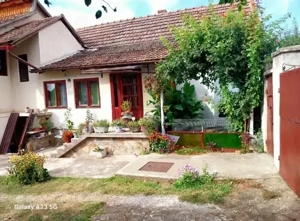 Casă de vânzare Miniş