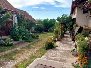 Casă de vânzare Miniş