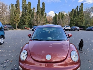 Vânzare wv new beetle