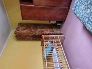 Apartament 3 camere Murfatlar  - imagine 7