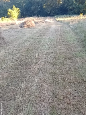 vand teren extravilan  - imagine 2