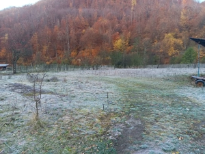 Teren la munte - imagine 3