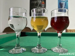 Vin alb-rosu si Tuica - imagine 3