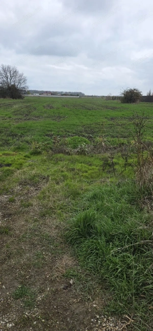 TEREN 2500 MP 1 DECEMBRIE