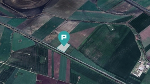 Teren 22.500 mp – Pecica, jud. Arad - imagine 11