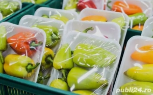 Angajări cu plecări imediate!! - imagine 3