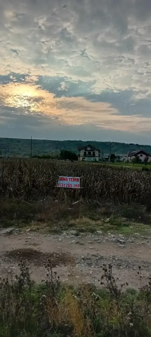 Teren de vânzare