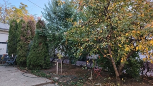 Casa de inchiriat Craiova centru zona rezidentiala - imagine 4