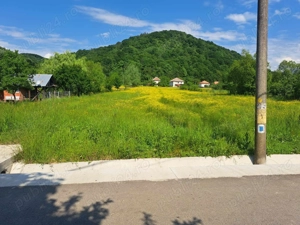 Teren de vanzare construibil Baia de Arama, jud. Mh, zona centru - imagine 2