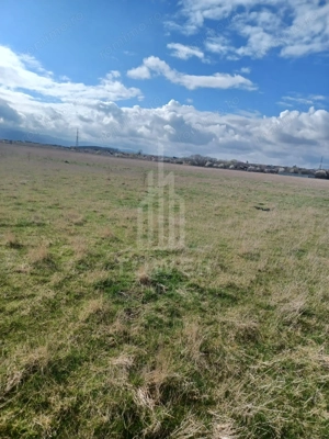 Teren intravilan 7.700 mp de vânzare | Zona Câmpșor