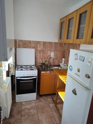 Apartament 1 camera - imagine 4