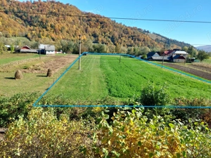 Teren 6600mp Molid - Vama