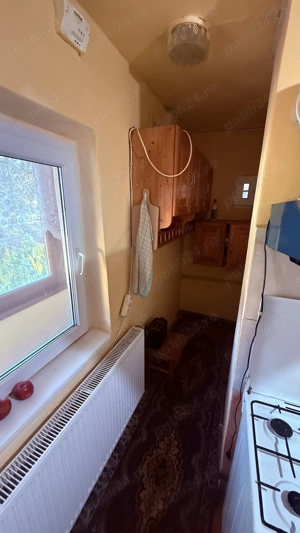 Buzias Timis apartament cu 1 camera de vanzare complet mobilat si izolat  - imagine 11