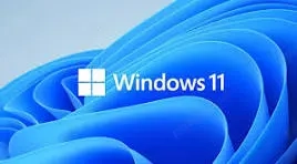 Instalez Windows 11 Pro- STIK Butabil