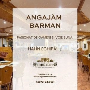  Barman Pensiunea Branderberg