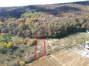 Teren de vânzare – zonă Wevern, Medias – 1.233 mp lângă padure