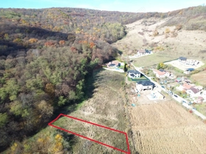 Teren de vânzare – zonă Wevern, Medias – 1.233 mp lângă padure - imagine 4