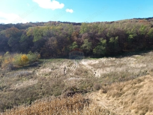 Teren de vânzare – zonă Wevern, Medias – 1.233 mp lângă padure - imagine 5