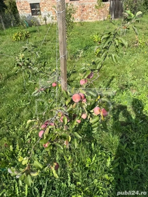 Casa de Vanzare  GORNESTI- Renovata 2025 semifinisata. - imagine 8