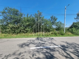 EXCLUSIVITATE! Teren la șoseaua principală | Tocile - imagine 4