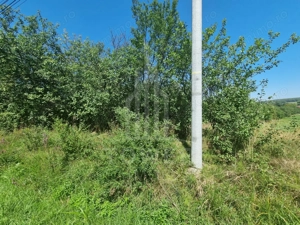 EXCLUSIVITATE! Teren la șoseaua principală | Tocile - imagine 5