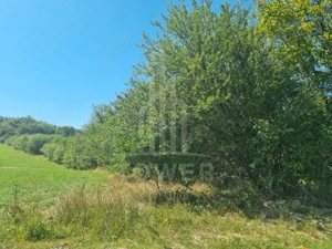 EXCLUSIVITATE! Teren la șoseaua principală | Tocile - imagine 7