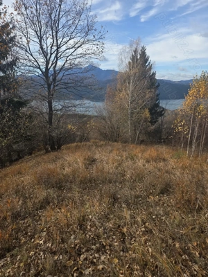 Teren extravilan  - imagine 2