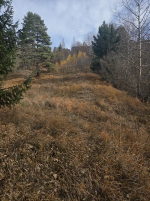 Teren extravilan  - imagine 3