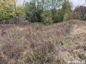 Vand teren intravilan - imagine 5