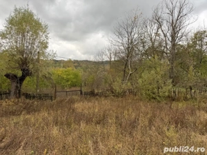 Vand teren intravilan - imagine 3