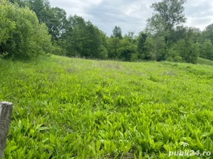 Vand teren intravilan - imagine 4