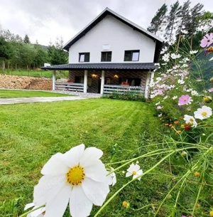 Cazare Rucar Satic Pensiunea Aaron s Home 