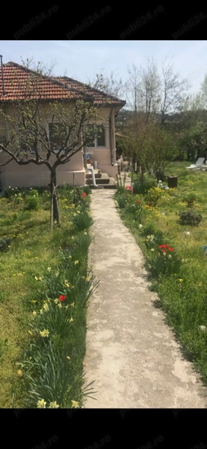 Casa Caramida+Teren drept intravilan  - imagine 4