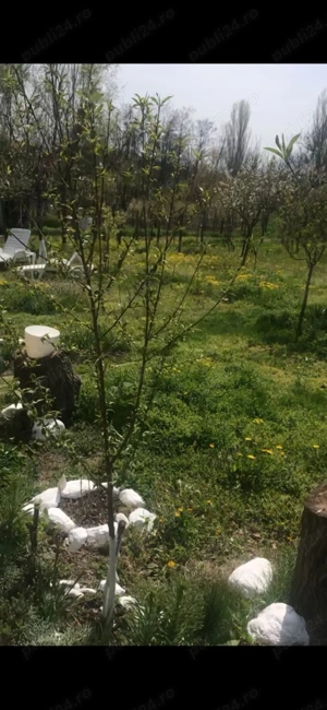 Casa Caramida+Teren drept intravilan  - imagine 7