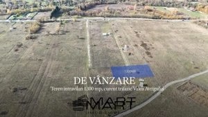 Teren 1300mp, curent trifazic Valea Avrigului