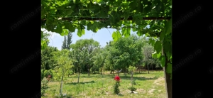 Casa Caramida+Teren drept intravilan  - imagine 8