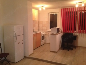 Proprietar inchiriez garsoniera, Drumul Taberei Favorit - imagine 2