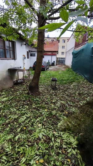 Ap.2 cam la casa - imagine 6