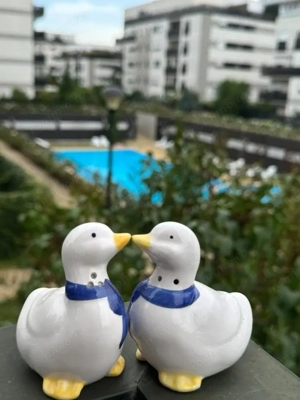 Inchiriere 3 camere Natura Residence - imagine 7