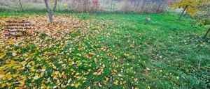 Casa individuala, cu 2 beciuri mari,anexe si 920 mp teren, la 10 minute de Piatra Neamt - imagine 14